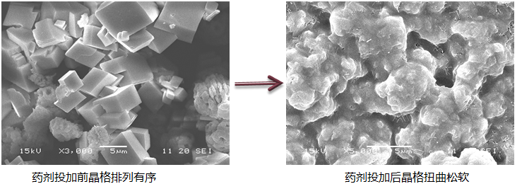 圖片.png 圖片.png